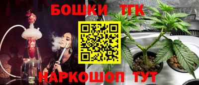 прущий лед Гай