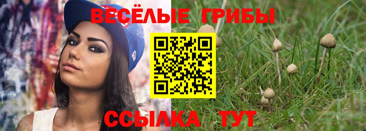 Псилоцибиновые грибы Psilocybine cubensis  Вход с VPN  Новоуральск  Галлюциногенные грибы мицелий 